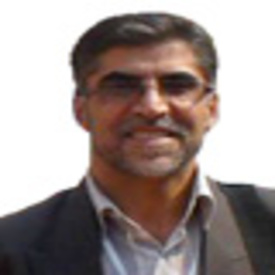 حسین شوکتی